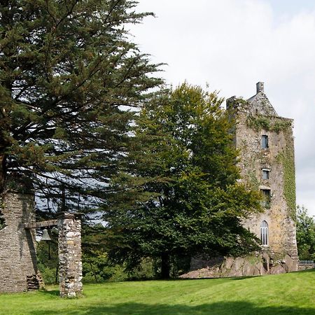 Вилла Dripsey Castle Estate Корк Экстерьер фото