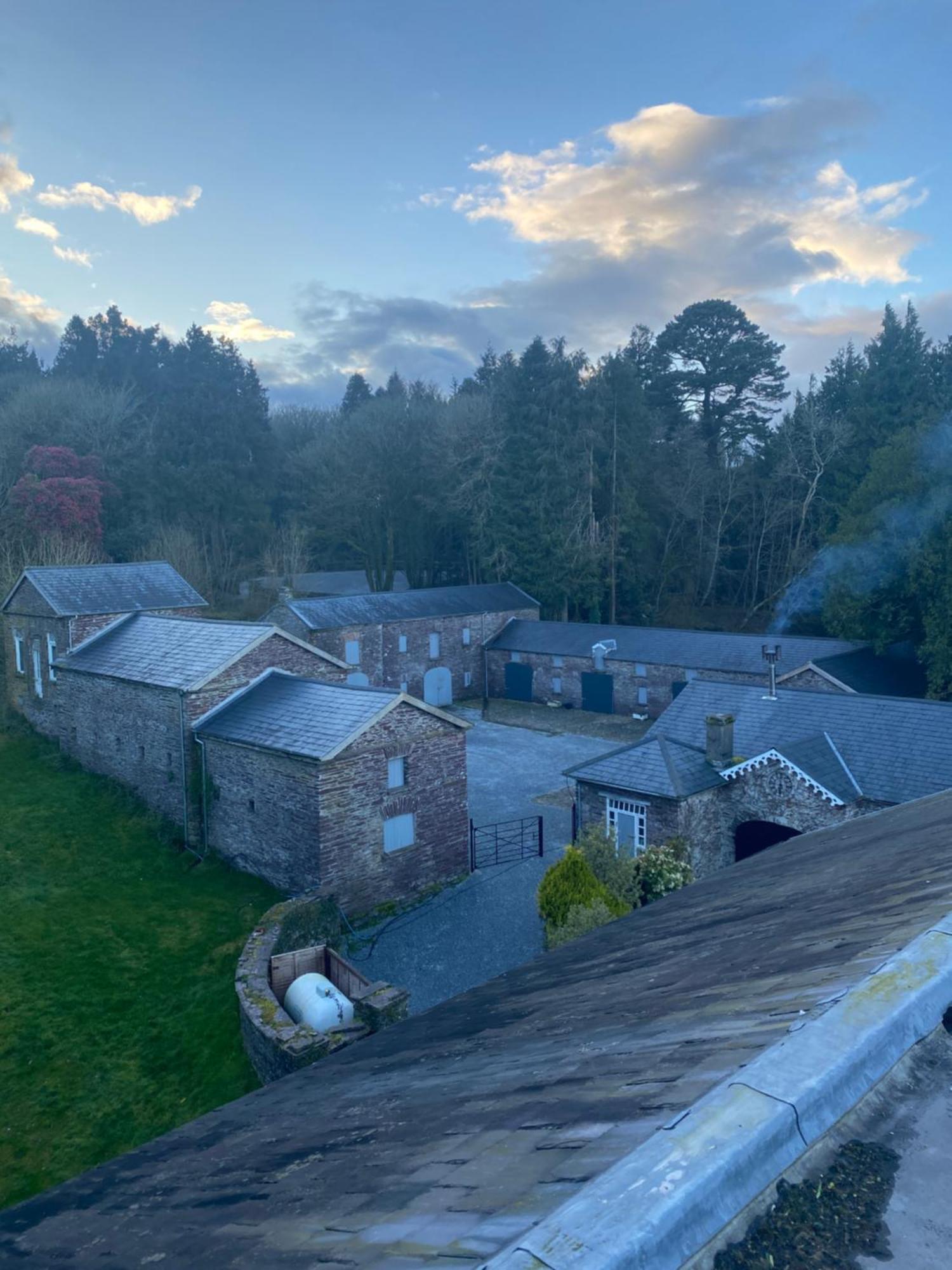 Вилла Dripsey Castle Estate Корк Экстерьер фото
