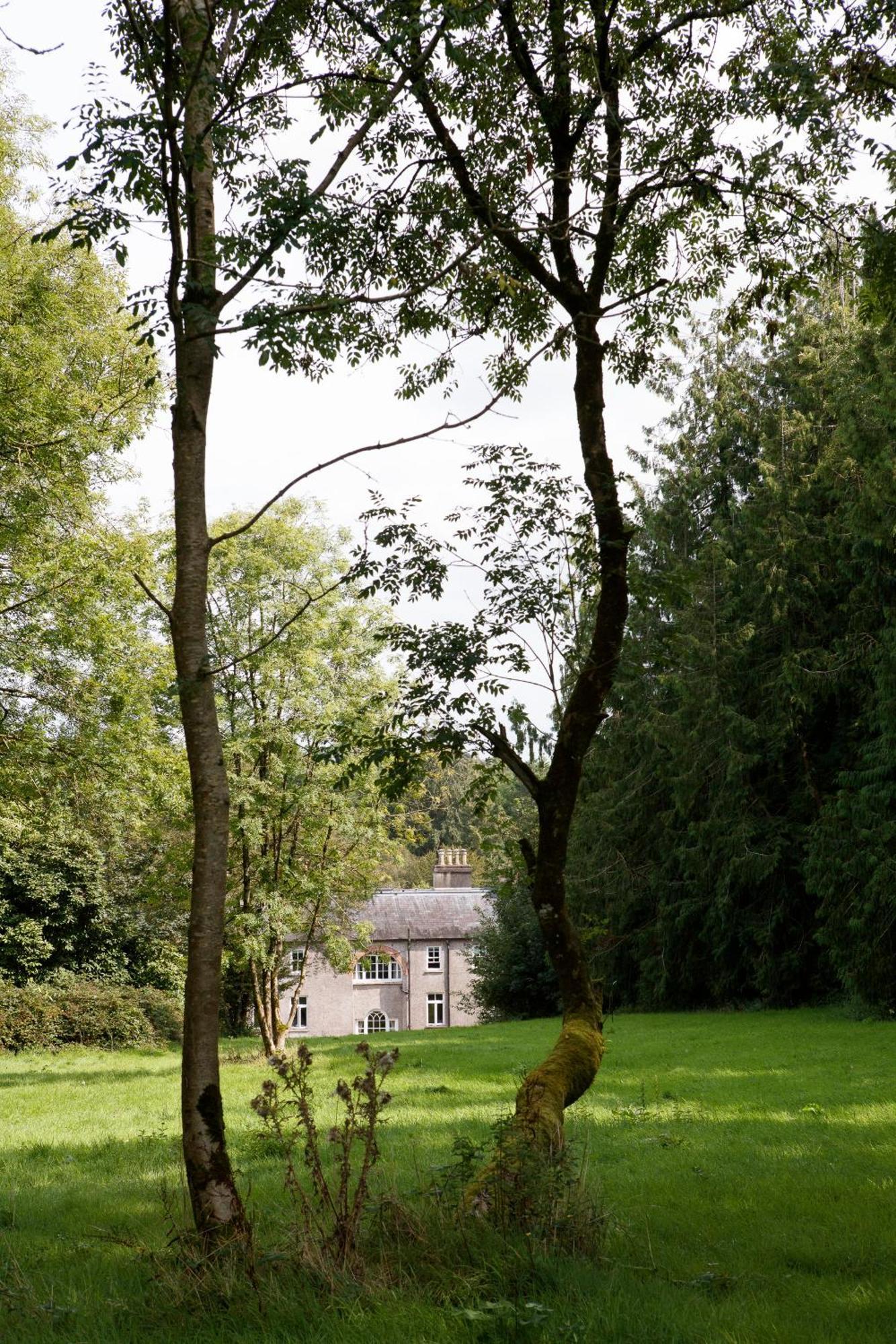 Вилла Dripsey Castle Estate Корк Экстерьер фото