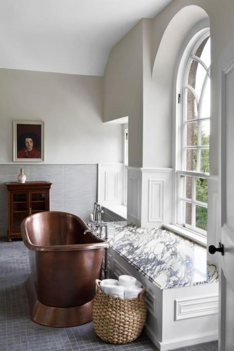 Вилла Dripsey Castle Estate Корк Экстерьер фото