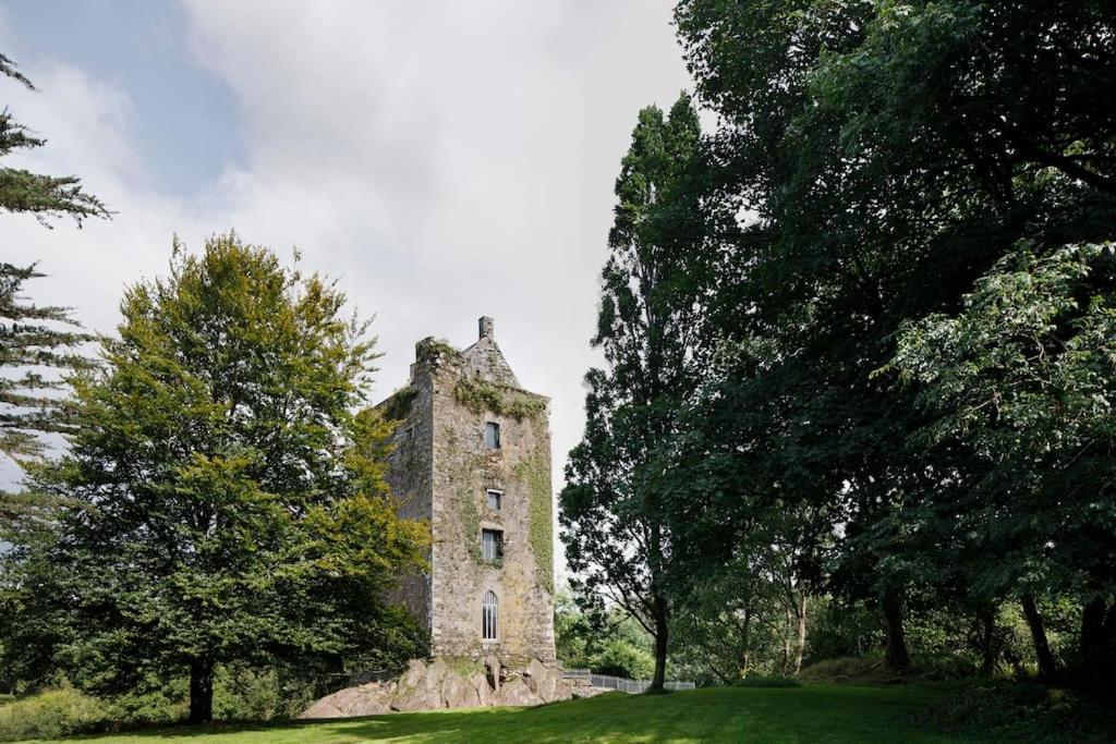 Вилла Dripsey Castle Estate Корк Экстерьер фото