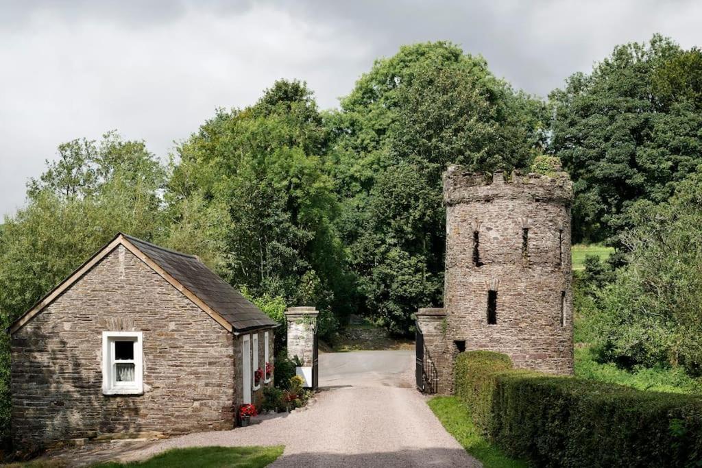 Вилла Dripsey Castle Estate Корк Экстерьер фото